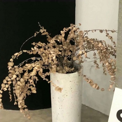 兽设冰川场景创作FurryQQ群